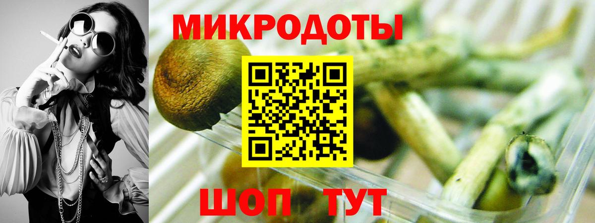 Галлюциногенные грибы Psilocybe Сланцы